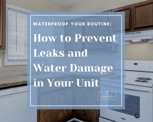 Waterproof Your Routine: How to Prevent Leaks and Water Damage in Your Unit